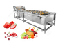 自動果物と野菜の洗濯機の果物と野菜の洗浄のプロセス用機器 サプライヤー