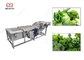 300-5000KG/H葉菜の洗濯機の緑の葉の洗濯機 サプライヤー