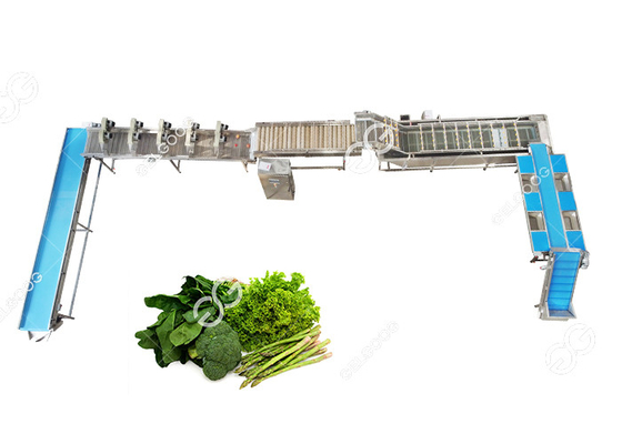 中国 セリウムはステンレス鋼の自動葉菜の洗浄ライン野菜の製造プラントを証明した サプライヤー