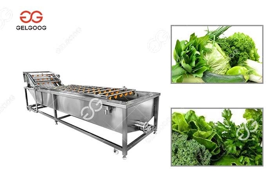 中国 300-5000KG/H葉菜の洗濯機の緑の葉の洗濯機 サプライヤー