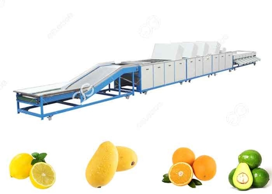 中国 1t/H-5t/Hフルーツ フルーツの輸出販売のための洗浄装置のフルーツの洗浄ライン サプライヤー