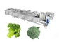産業凍結するブロッコリーのカリフラワーの野菜洗浄のはっきりしている生産ライン サプライヤー