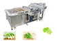 Damanageのない葉菜類の洗濯機の果物と野菜のプロセス用機器 サプライヤー